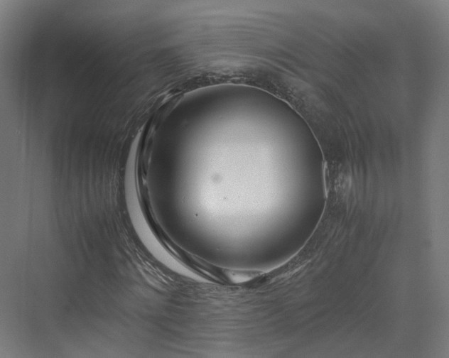 X0000070230868200606021345