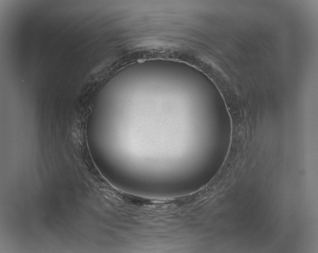 X0000070230869200606021345