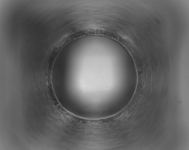 X0000070230870200606021344