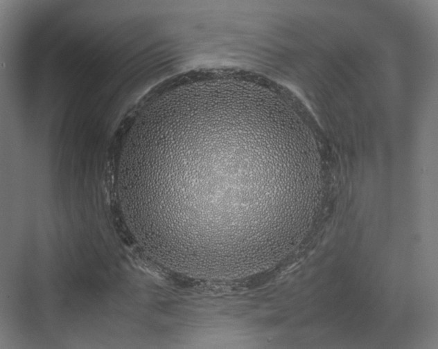 X0000070230871200606021344