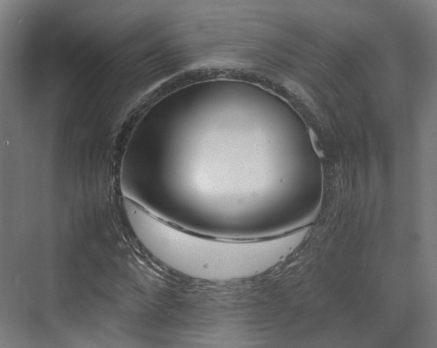 X0000070230872200606021344