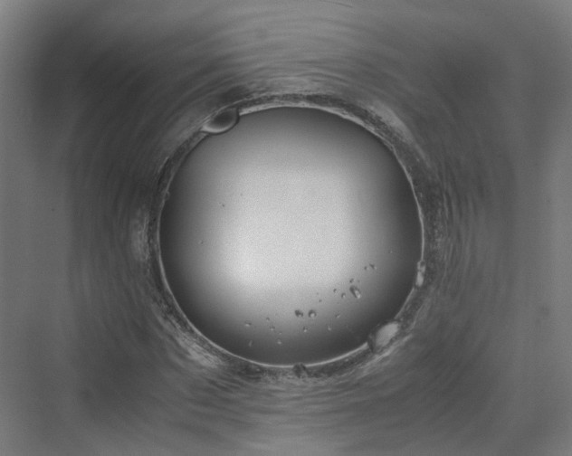 X0000070230873200606021344