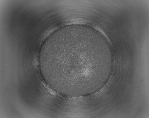 X0000070230874200606021344