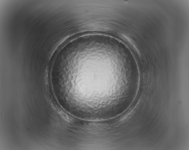 X0000070230875200606021344