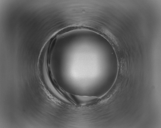 X0000070230876200606021344