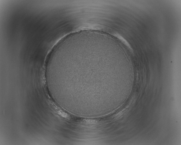 X0000070230878200606021344