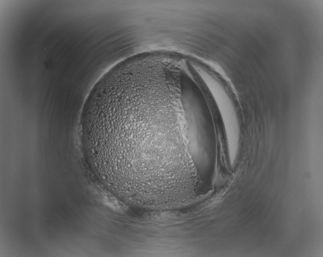 X0000070230879200606021344