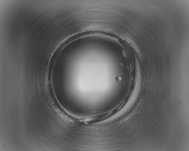 X0000070230880200606021344