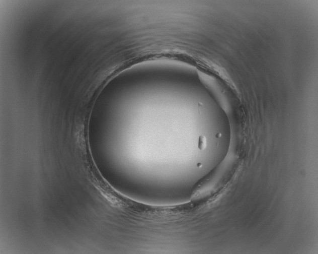 X0000070230881200606021344