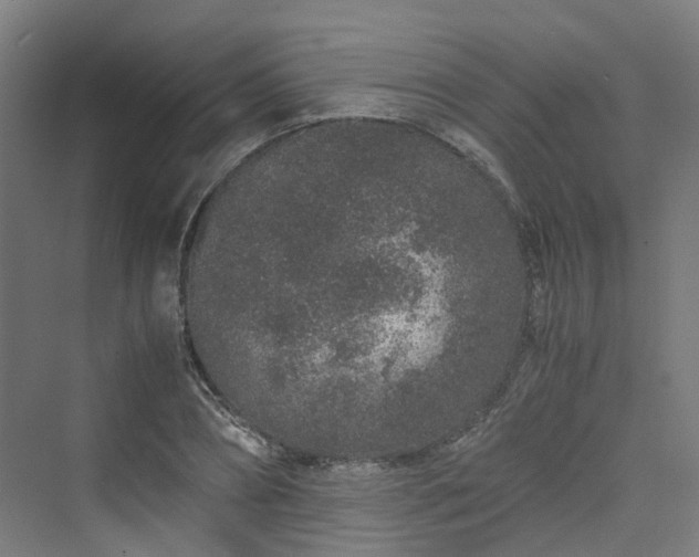 X0000070230882200606021344