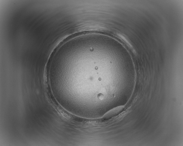 X0000070230883200606021344