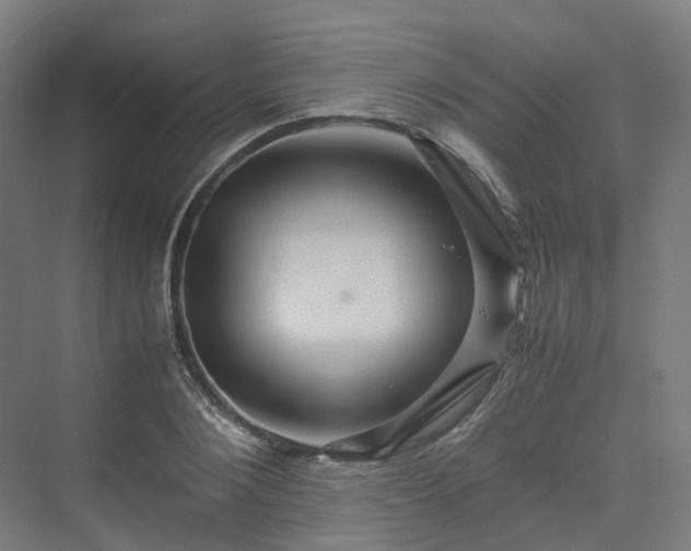 X0000070230884200606021344