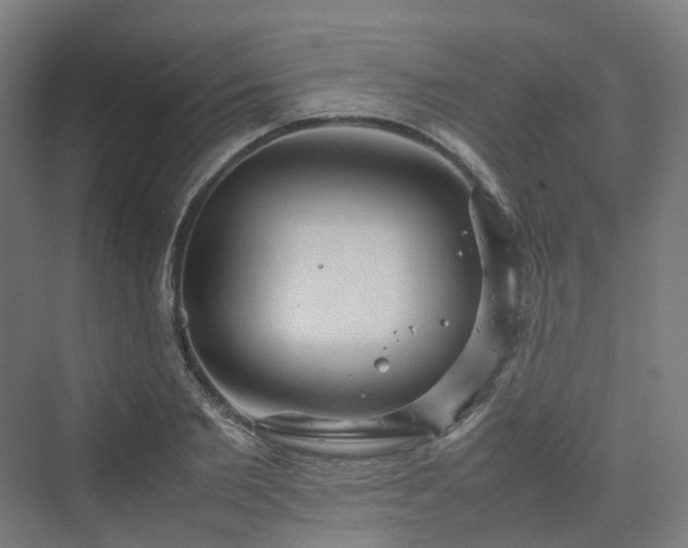 X0000070230885200606021344