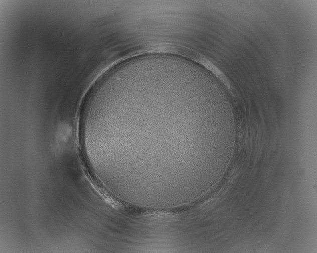 X0000070230886200606021344