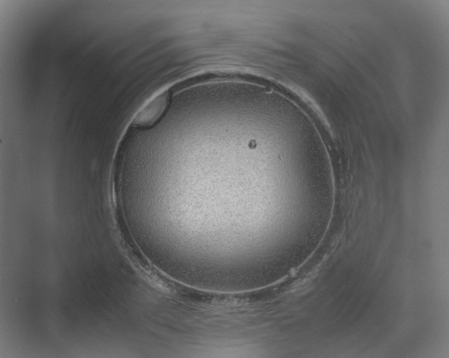 X0000070230887200606021344