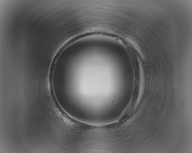 X0000070230888200606021344