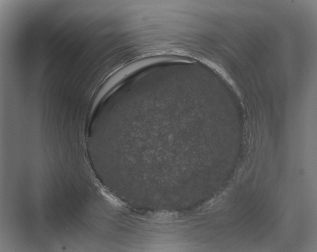 X0000070230889200606021344