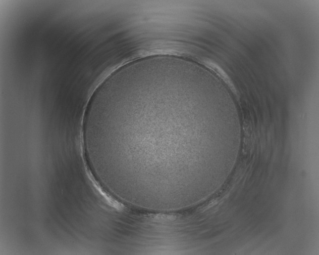 X0000070230890200606021344