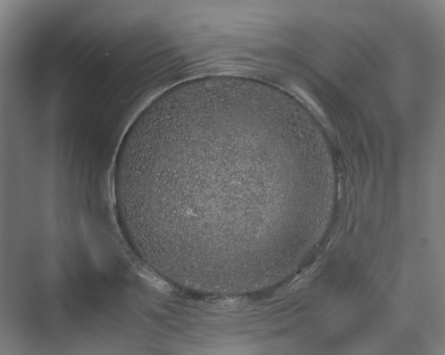 X0000070230891200606021344