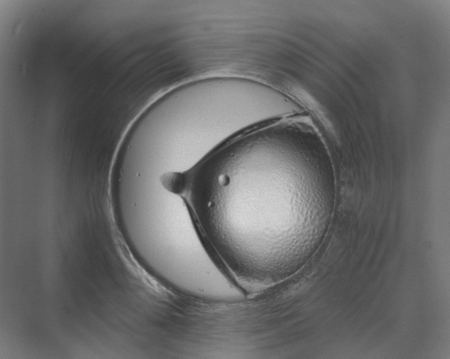 X0000070230892200606021344