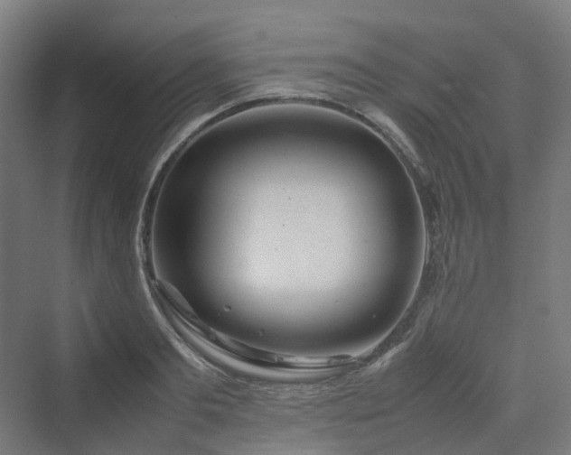 X0000070230893200606021344