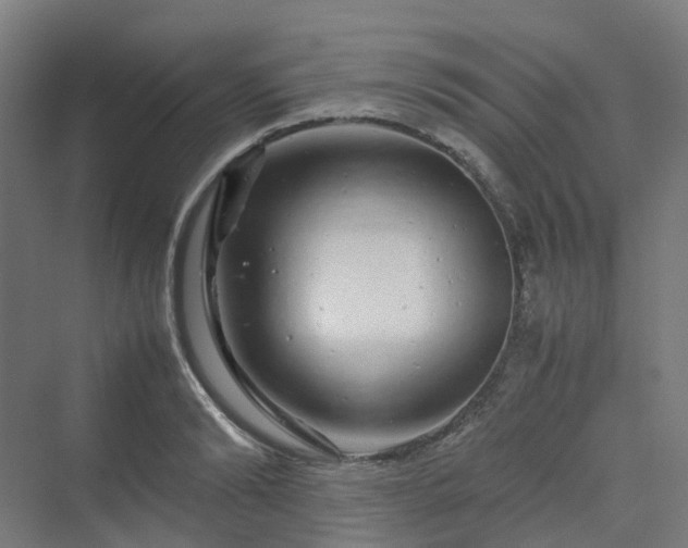 X0000070230894200606021344