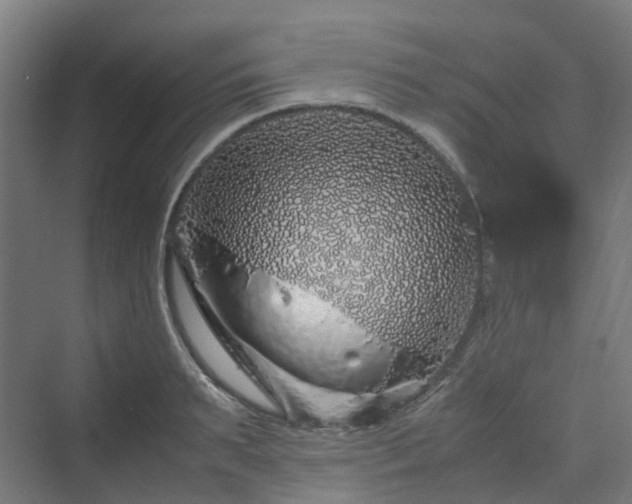 X0000070230895200606021344