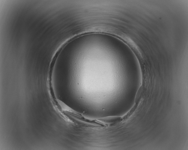 X0000070230896200606021344