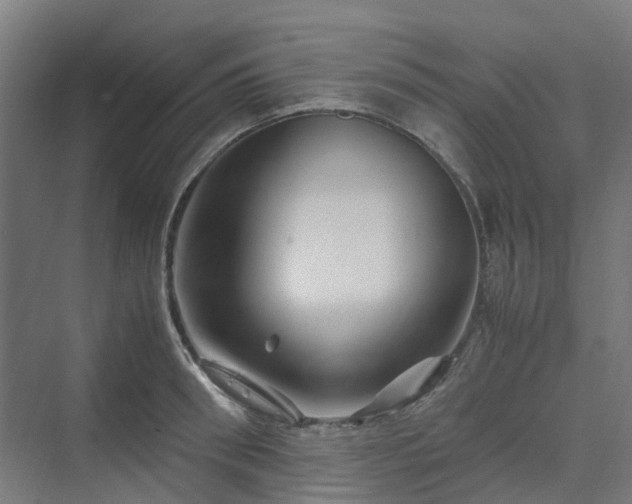 X0000070230898200606021344