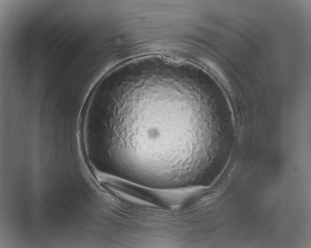 X0000070230899200606021344