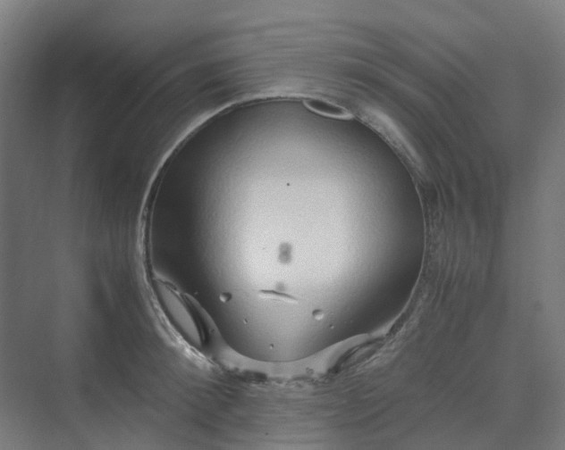 X0000070230900200606021344