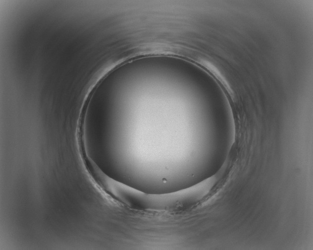 X0000070230901200606021344