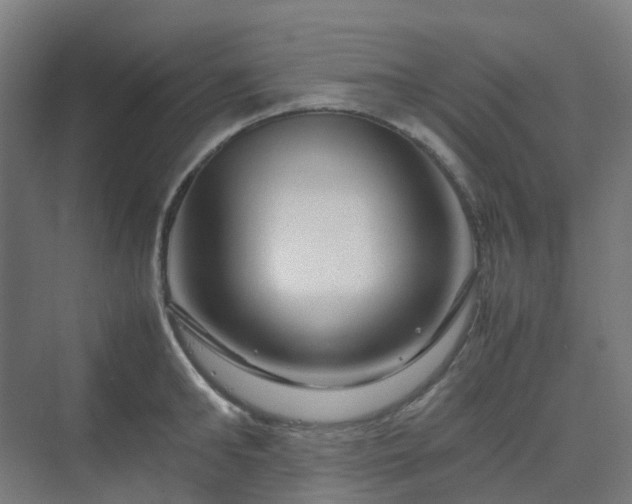 X0000070230902200606021344