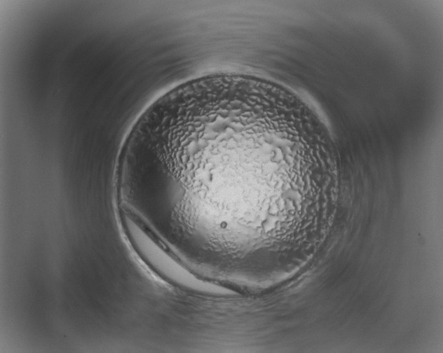 X0000070230903200606021344