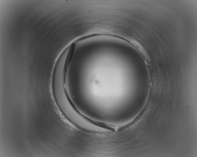 X0000070230904200606021344