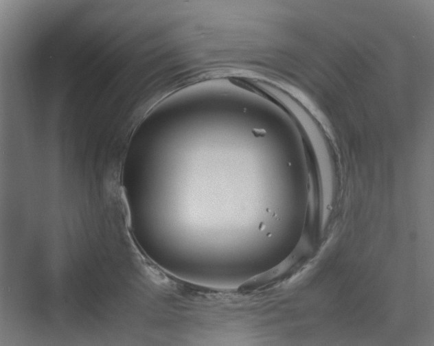 X0000070230905200606021344