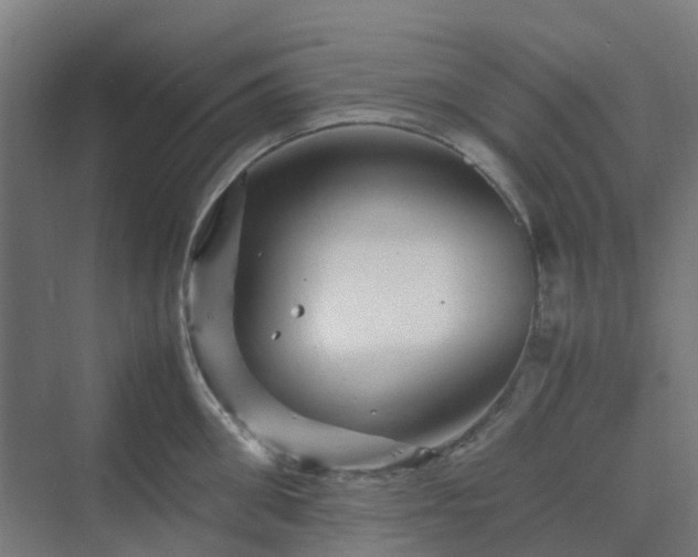 X0000070230906200606021344