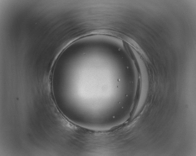 X0000070230908200606021344