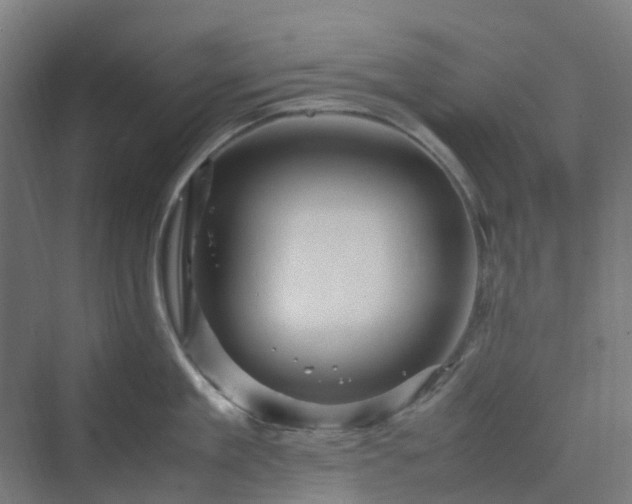 X0000070230909200606021344