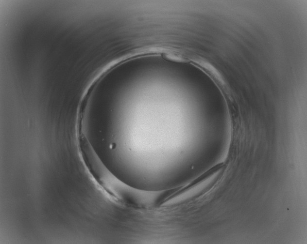 X0000070230910200606021344