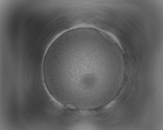 X0000070230911200606021344