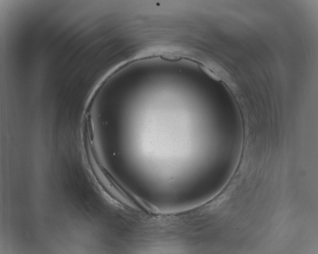 X0000070230912200606021344