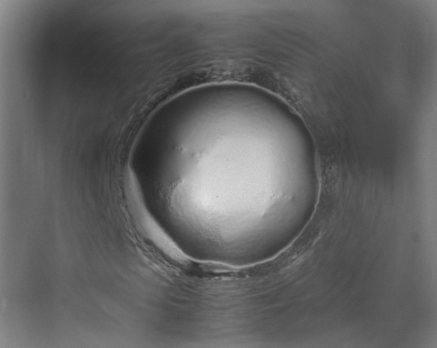 X0000070230913200606021343