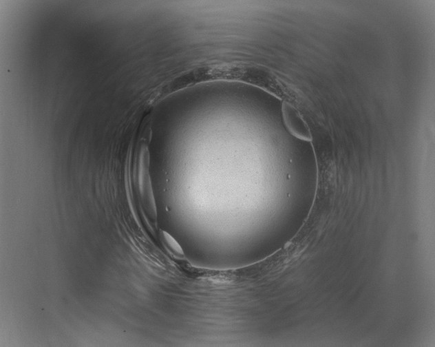 X0000070230914200606021343