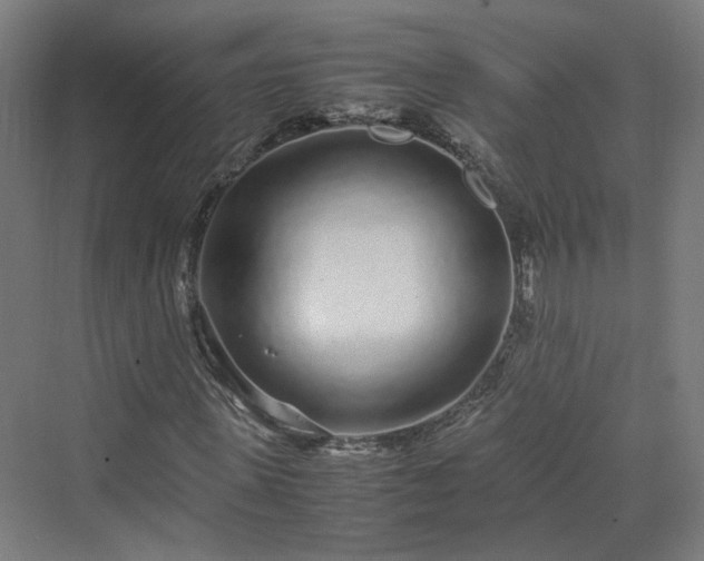 X0000070230915200606021343