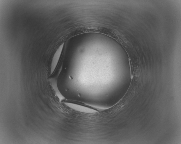 X0000070230916200606021343