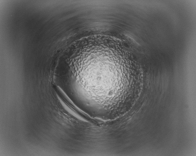 X0000070230917200606021343