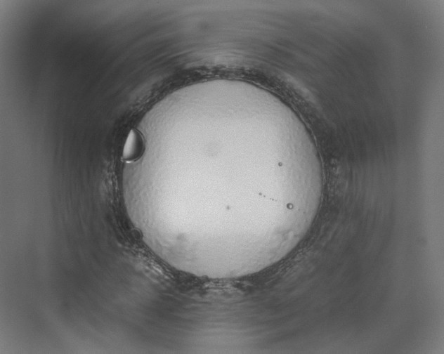 X0000070230918200606021343