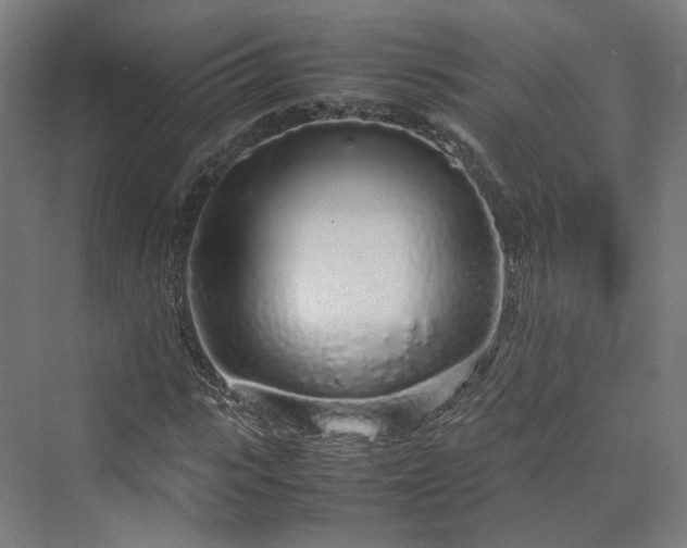 X0000070230919200606021343