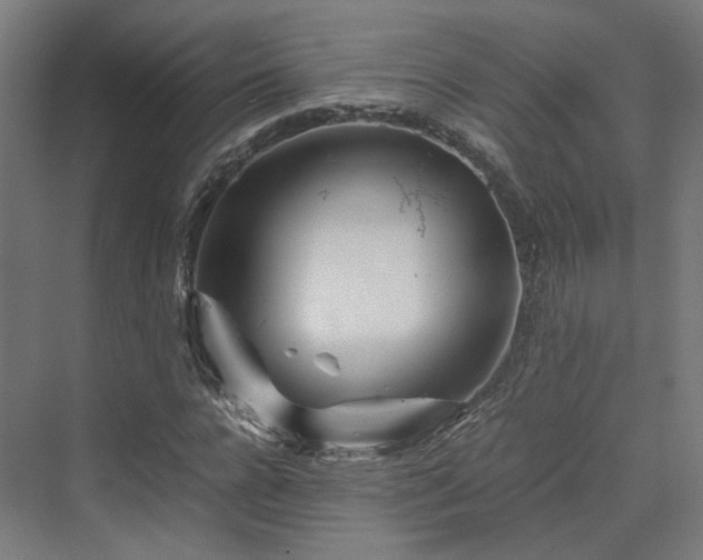 X0000070230920200606021343